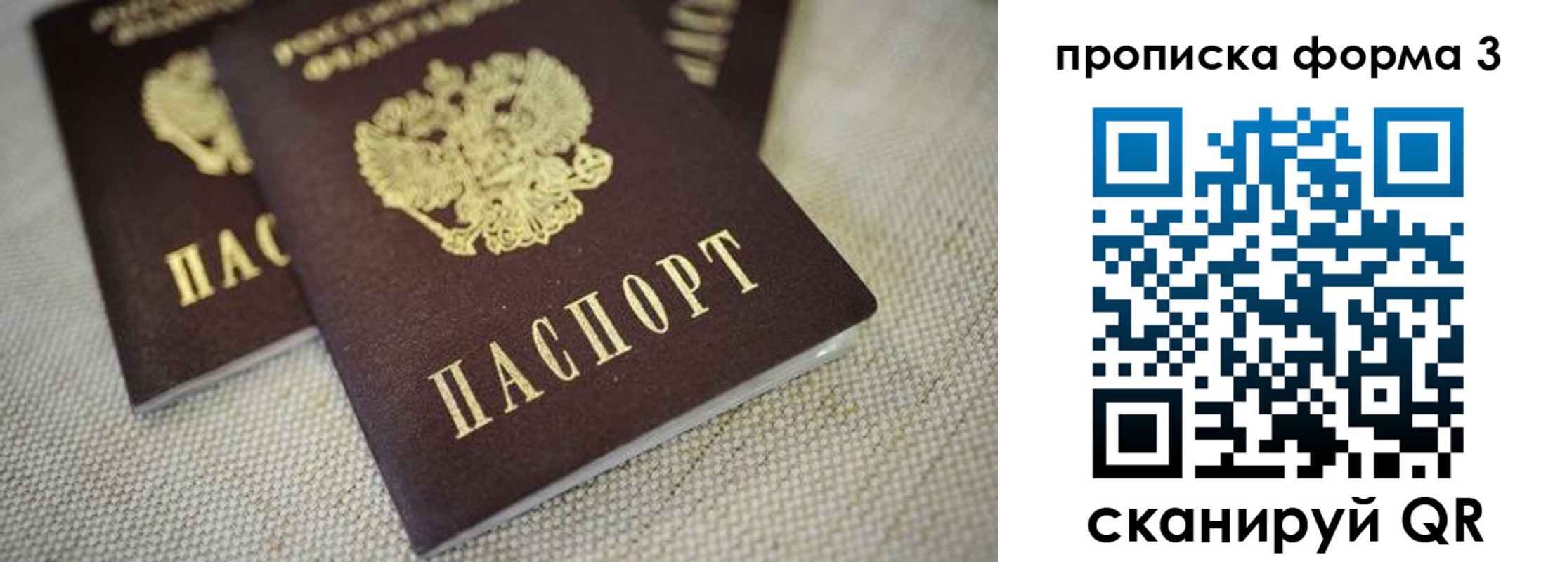 прописка поиск в Хвалынске
